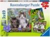 Ravensburger Puzzle 3x49 Teile Katzen
