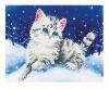 Pracht Diamond Dotz DIY Katze im Schnee