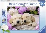 Ravensburger Puzzle XXL 300 Teile Hunde
