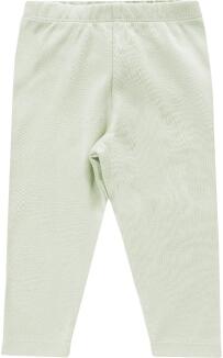 Jacky_Maedchen_Baby_Leggings_gruen_3716470_0_65001.jpg