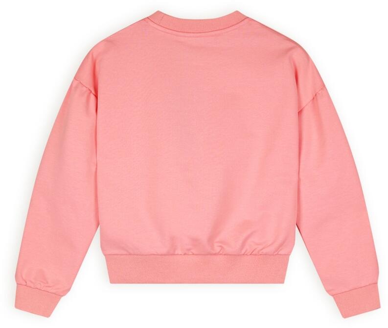 Nono Mädchen Sweatshirt mit Stickerei sparkle rose